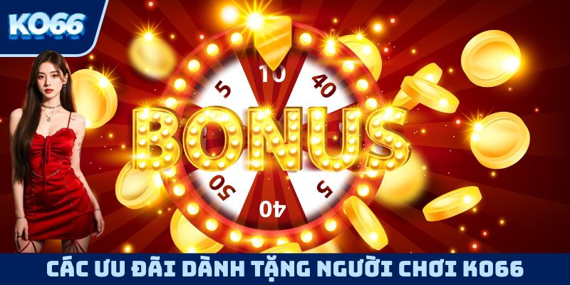 Những chính sách ưu đãi hấp dẫn dành riêng cho thành viên KO66